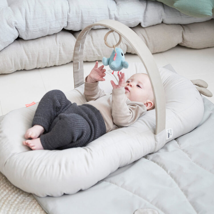 Cozy Lounger with Activity Arch, Raffi Sand