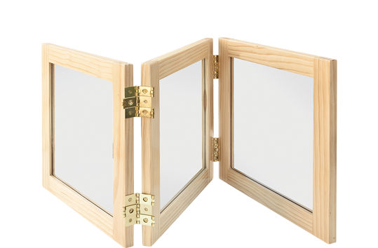 3 Way Mirror