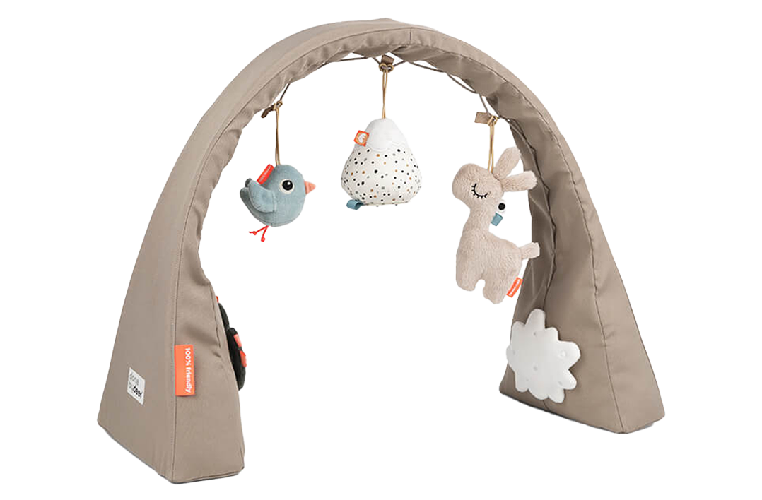 Lalee Sand Activity Gym