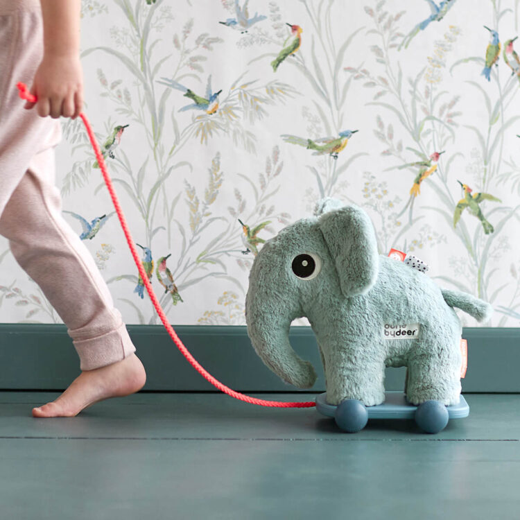 Pull Along 2-in-1 Toy, Elphee