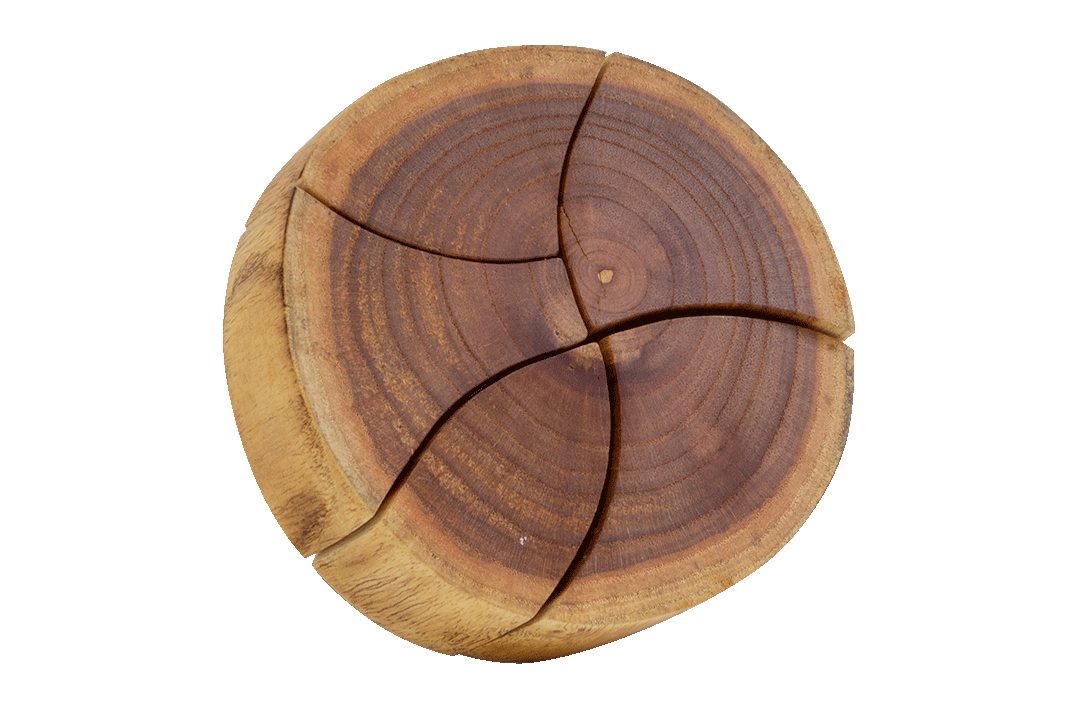 Wooden Trunk Puzzle 5pc
