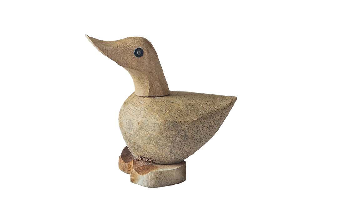Minky Duck