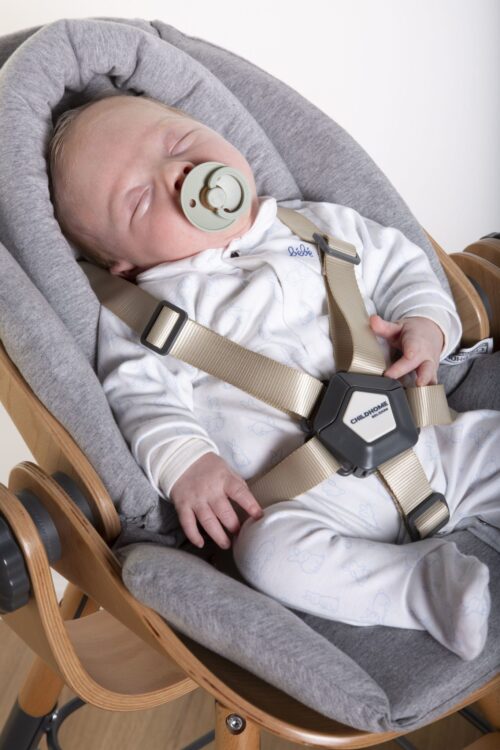 Newborn Seat Insert Grey