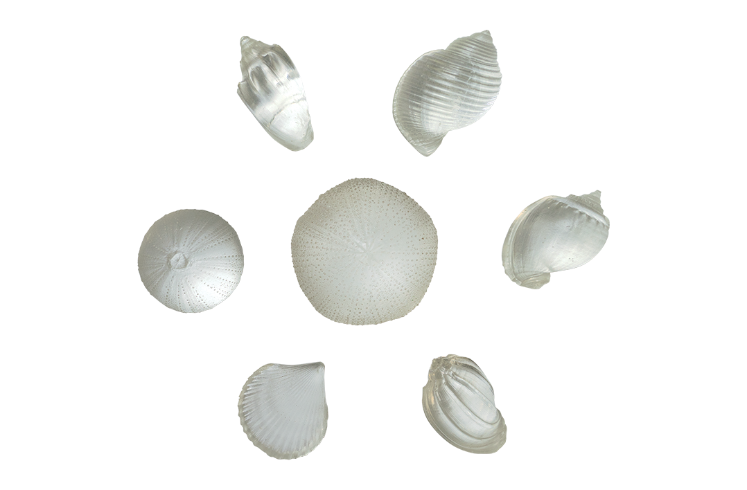 Resin Shells