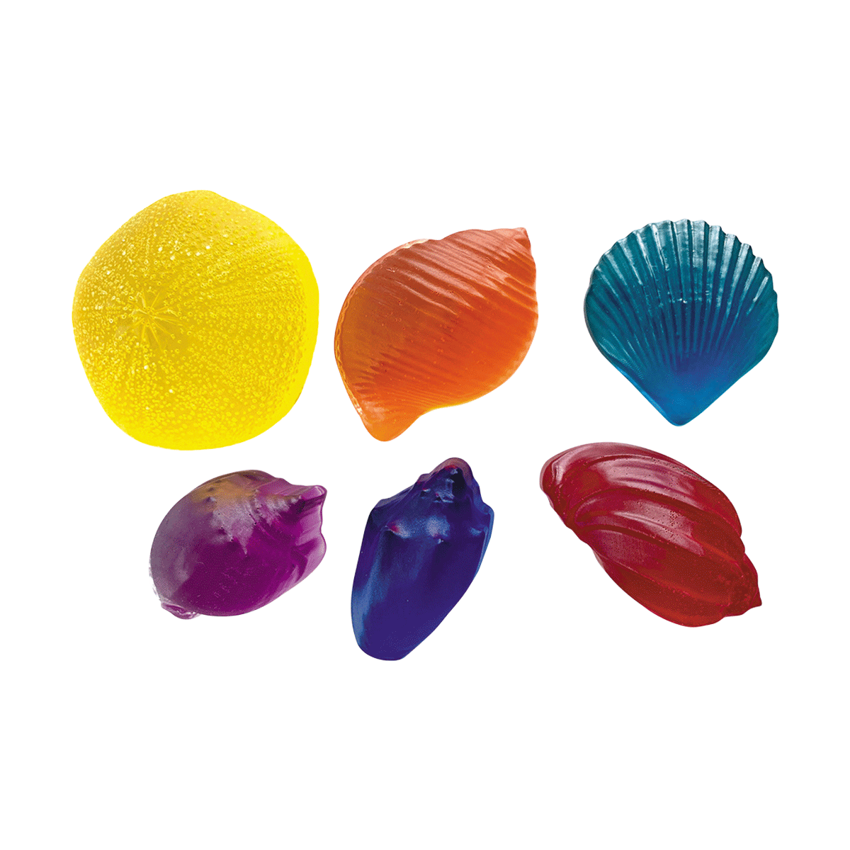 Shells 6pc