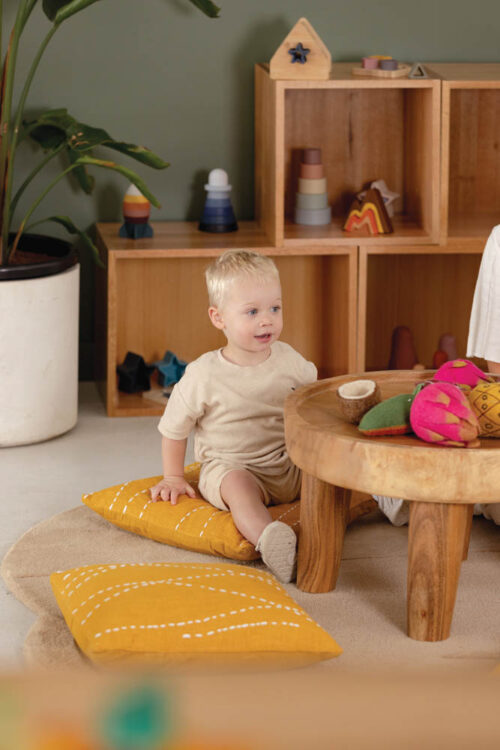 Mustard Cushion & Insert