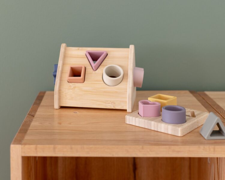 Silicone Shape Sorter