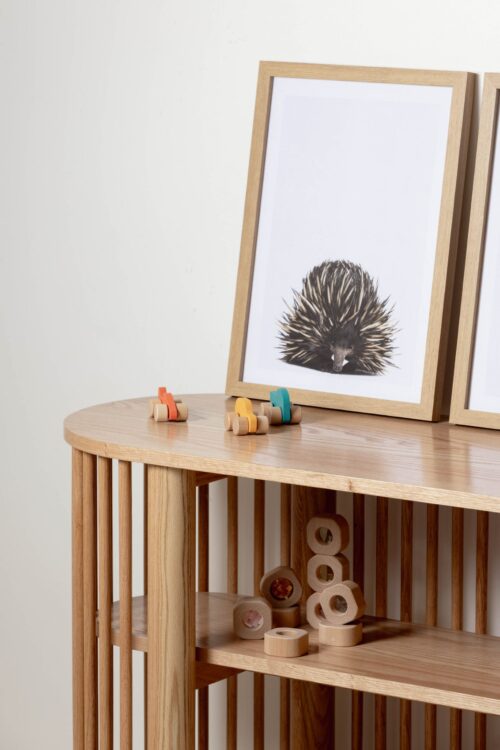 Baby Echidna Framed Print