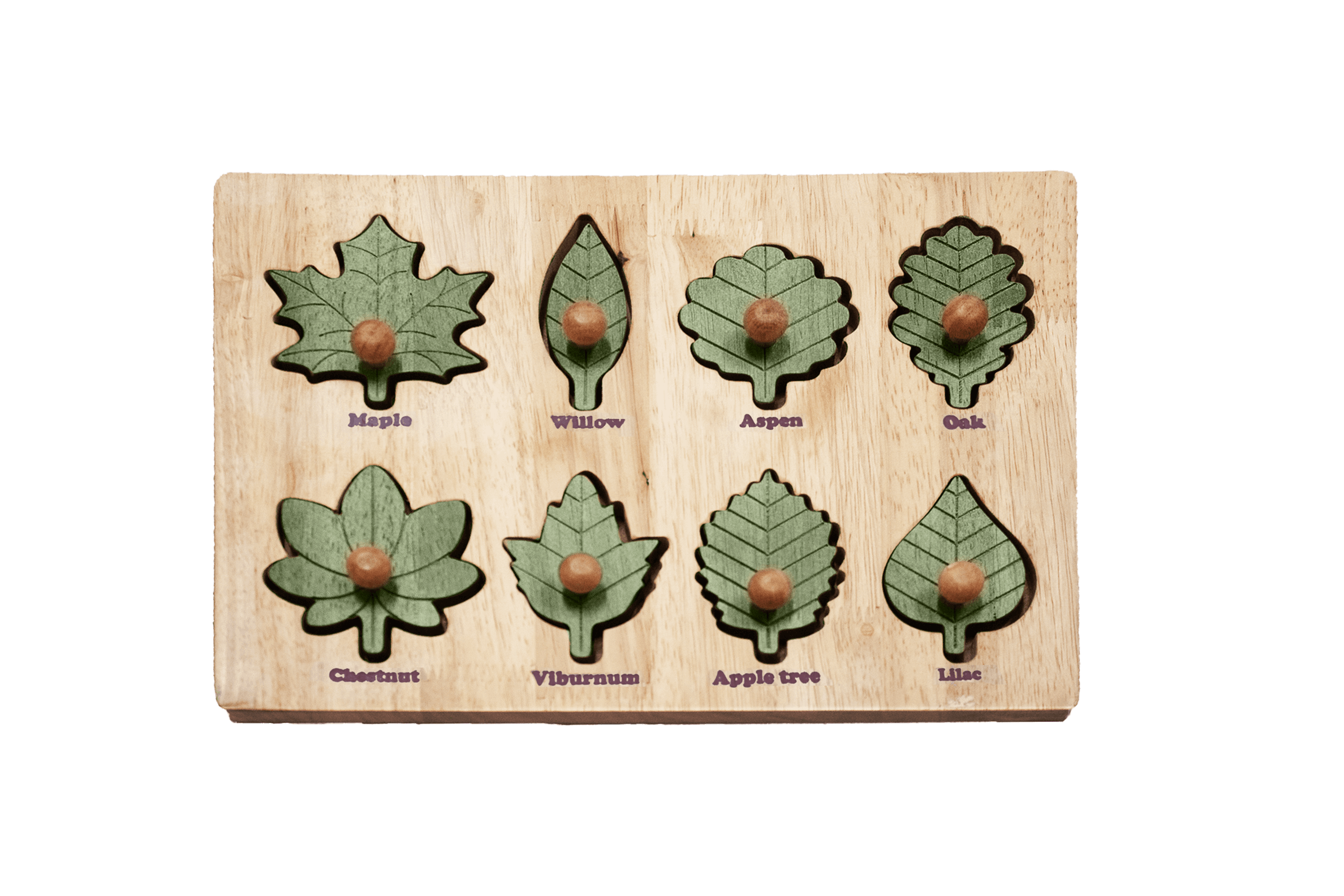 Leaf Puzzle