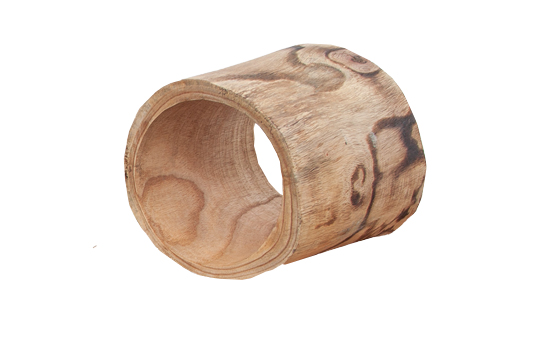 Hollow Log