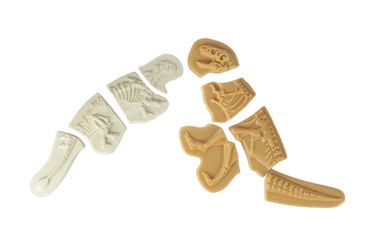 Dig & Discover – Ankylosaurus & Tyrannosaurus